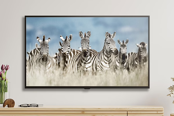 appliance_tv
