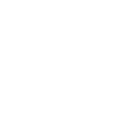 Multi-sensor