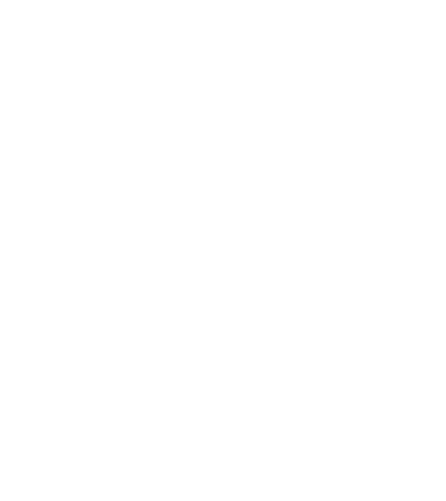 Security